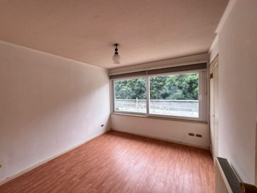 f0258258-37cd-454a-8490-dffc39b6cecf