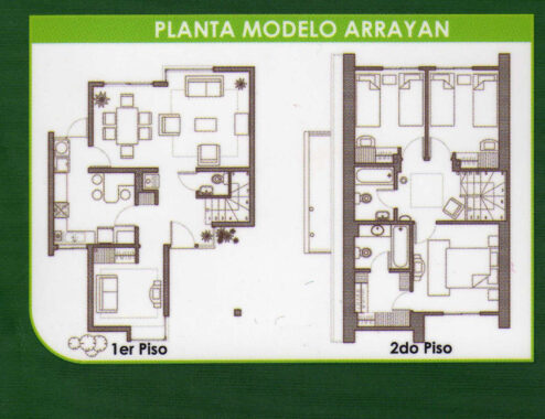NOTROS arrayan planta