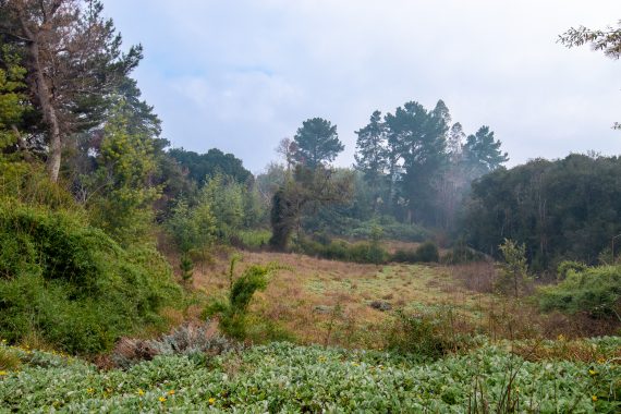 IMG_4013-HDR