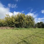 Parcela en Lomas del Carmen de 9.000 m2