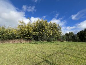 Parcela en Lomas del Carmen de 9.000 m2