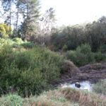 Parcela en Lomas del Carmen de 9.000 m2