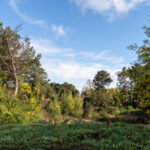 Parcela en Lomas del Carmen de 9.000 m2