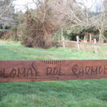 Parcela en Lomas del Carmen de 9.000 m2